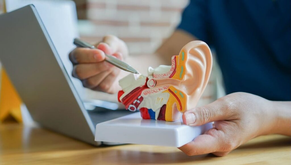 Solutions for Hearing Loss