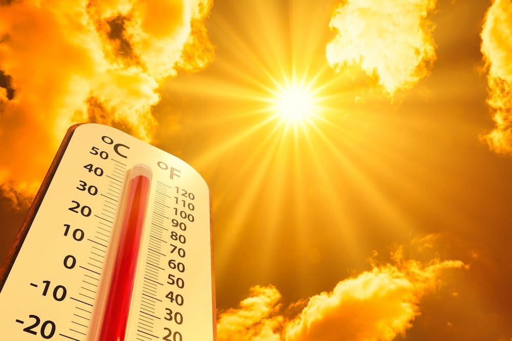 Dehydration Warning Signs for Seniors